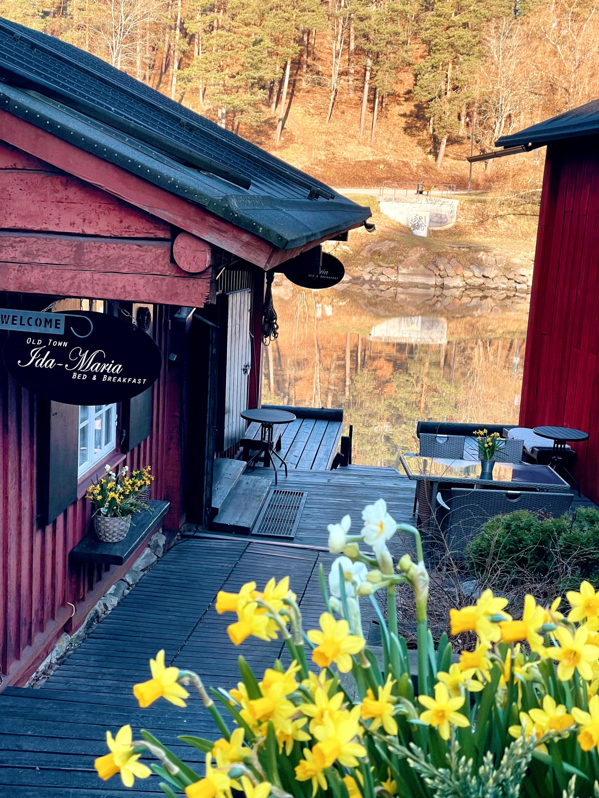 unnamed 1 scaled 1.jpg